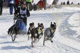 Lenk 2012 SM